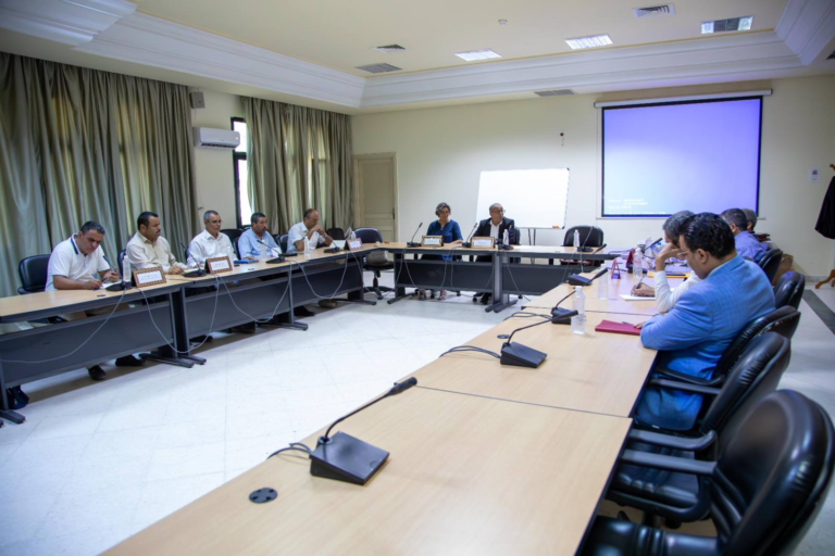 لجنة المخططات التنموية والمشاريع الكبرى تنظم ورشة عمل