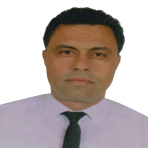 الصحبي عامر