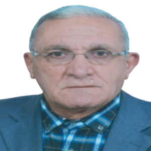 علي الماجري